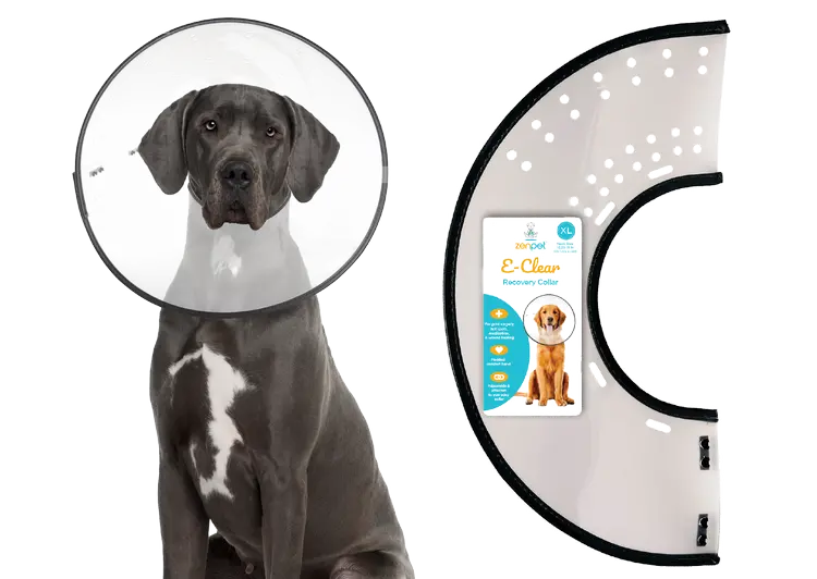 Zenpet E-Clear Recovery Collar 1