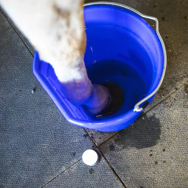 Vetericyn® Hoof Soak 2