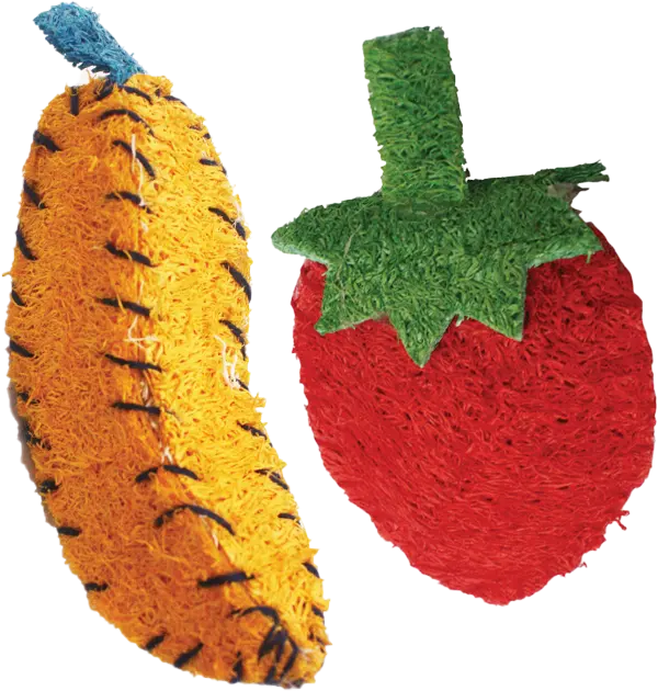 A&E Cage Company Nibbles Loofah Banana And Strawberry 1