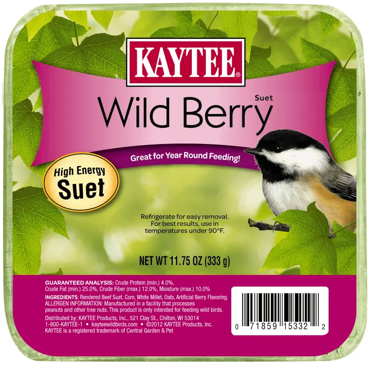 Kaytee Wild Berry Suet 1