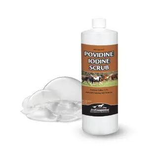 First Companion Povidine Iodine Scrub 7.5% 1