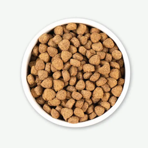 Earthborn Holistic Unrefined Roasted Rabbit Recipe Dry Dog Food 4