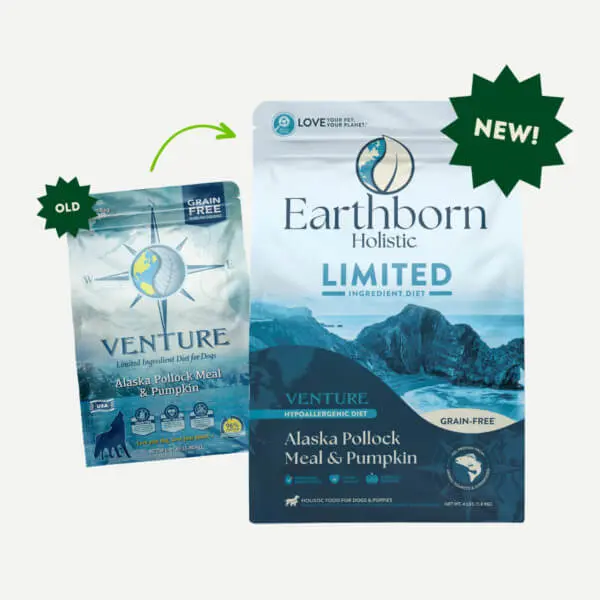 Earthborn Holistic Venture Alaska Pollock Meal & Pumpkin Dry Dog Food 2
