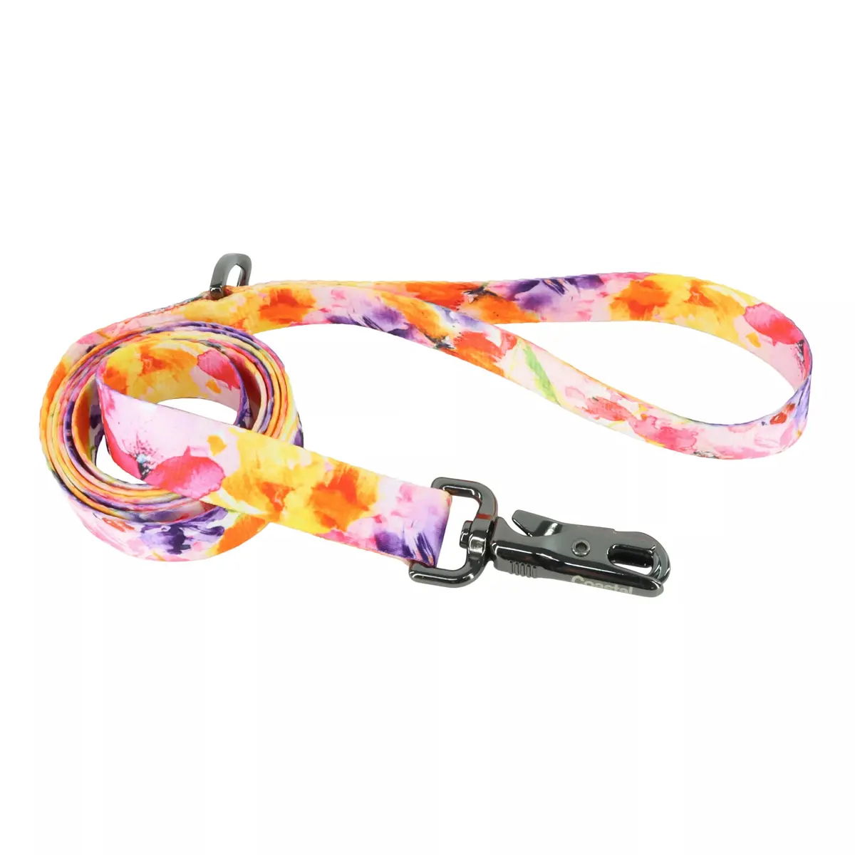 Coastal Pet Inspire Fashion Leash – Stylish, Colorful Dog Walking Accessory
