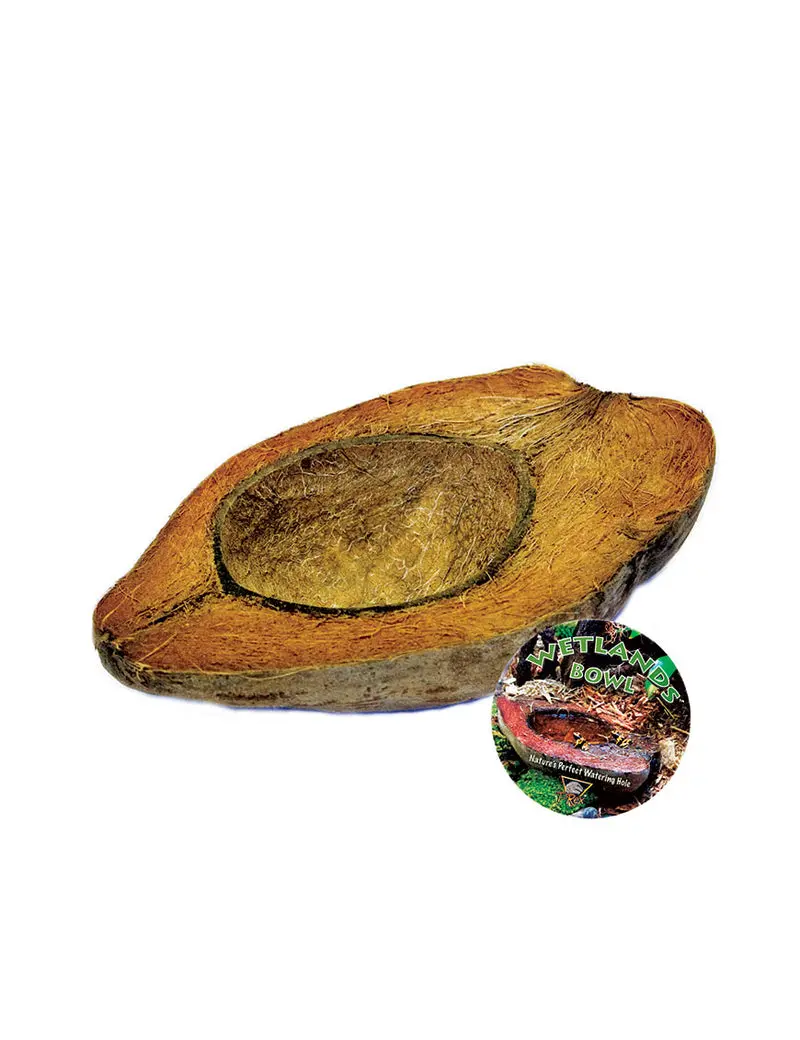 T-Rex Reptile Terrarium Decor - Wetlands Bowl 1