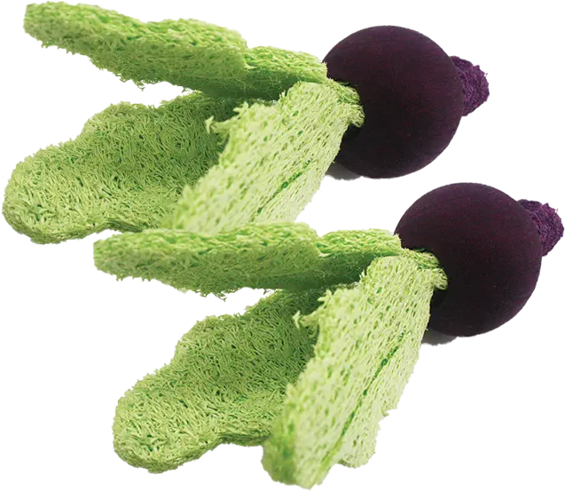A&E Bird Cage Loofah Turnips Toy For Small Animal 1