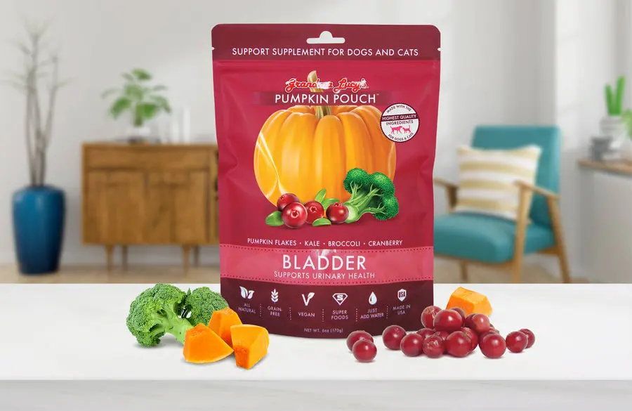 Grandma Lucy's Pumpkin Pouch Bladder 1