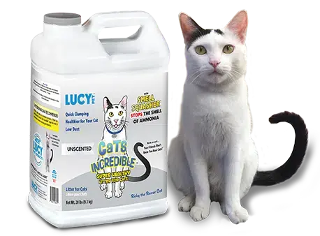 Lucy Pet Cats Incredible Cat Litter Unscented 1