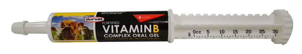 Durvet Vitamin B Complex Oral Gel 1