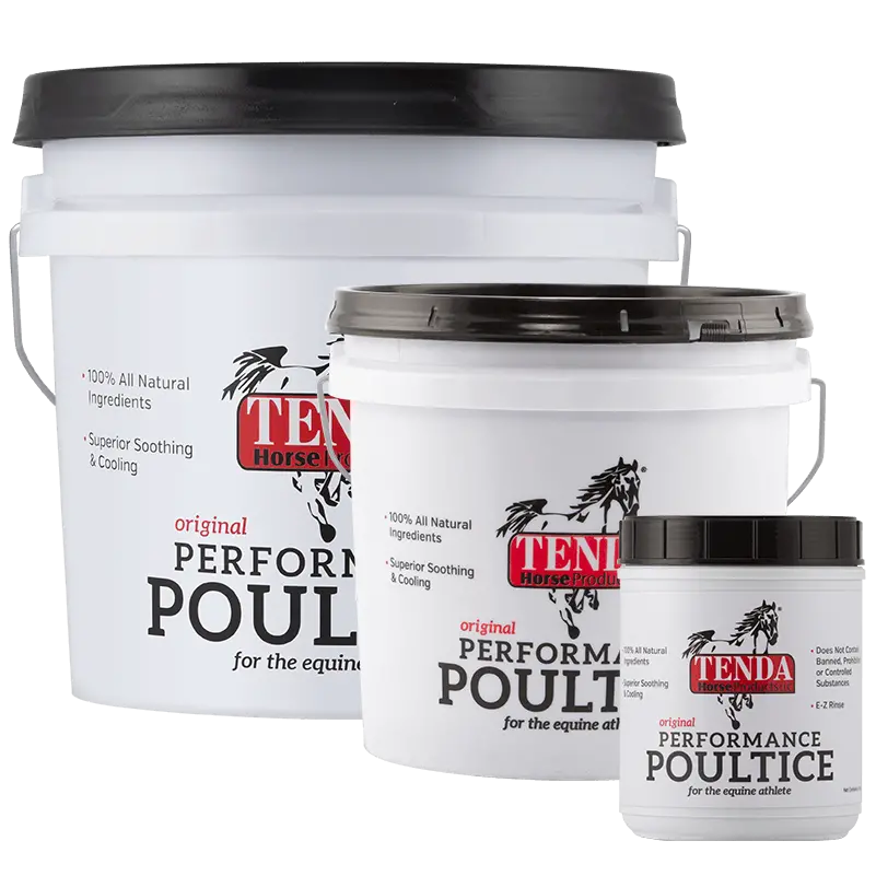 Tenda Horse Products Original Performance Poultice 1