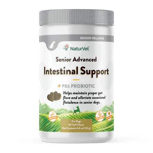Naturvet Senior Advanced Intestinal Support Soft Chews For Dogs 1
