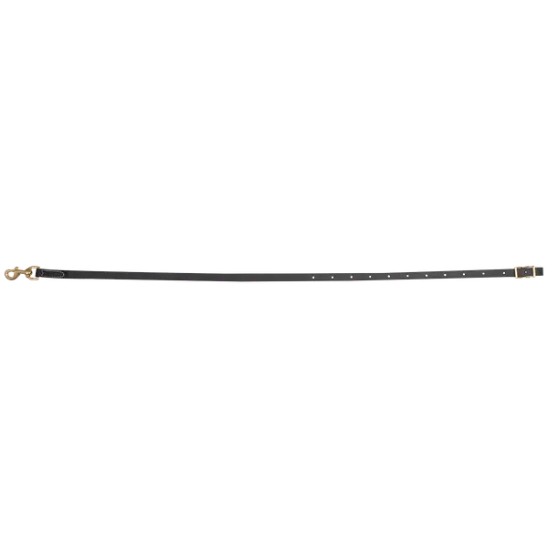 Martin Saddlery Biothane Tie Down Strap 1
