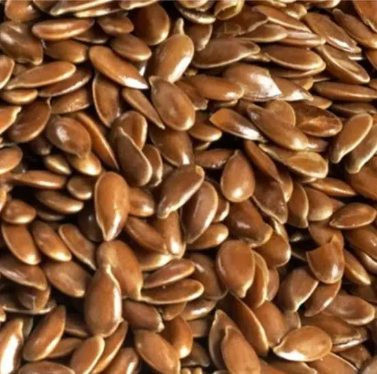 Winner's Cup Single Seed Flax Seed 1