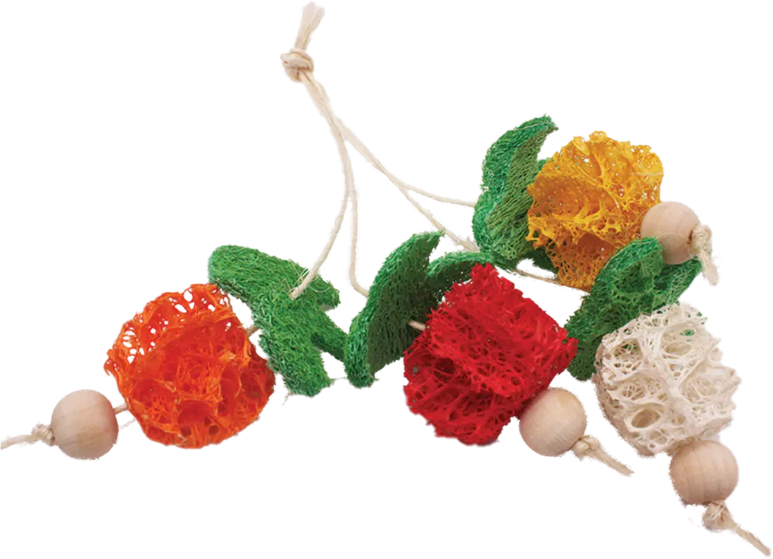 A & E Cage Loofah Bunch Of Fruits Small Animal Toy 1