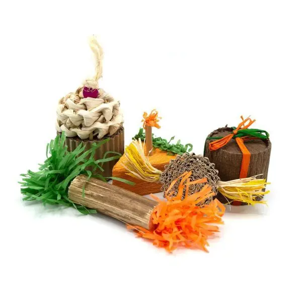 Oxbow Animal Health Enriched Life - Birthday Party Pack 1