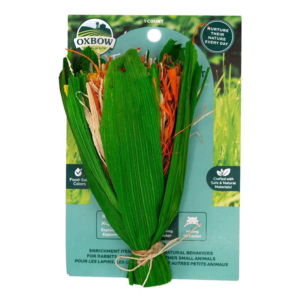 Oxbow Animal Health Enriched Life - Celebration Boquet 1