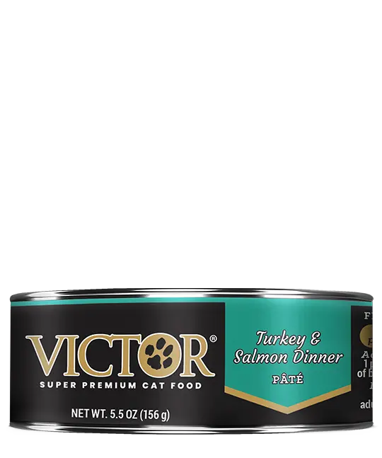 Victor Turkey And Salmon Dinner Pâté For Cat 1