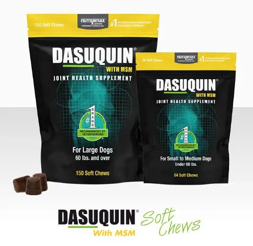 Nutramax Dasuquin® With Msm Soft Chews For Dogs 1