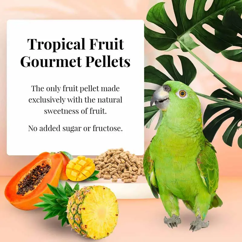 Lafeber Company Parrot Tropical Fruit Gourmet Pellets 2
