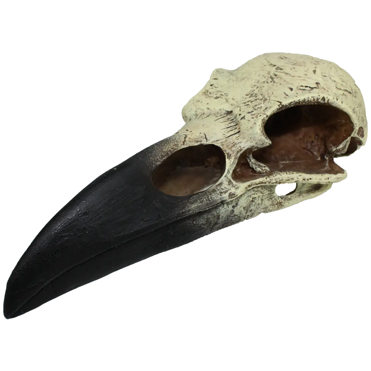Komodo Raven Skull Hideout 1