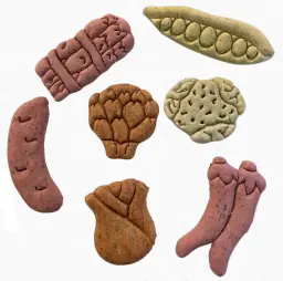 A&E Cage Vita Herbal Small Animal Cookies 1