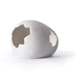 Galapagos Ceramic Egg Hide 1