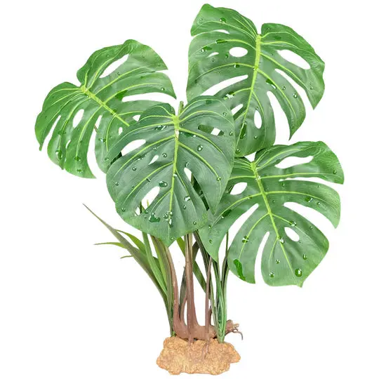 Komodo Monstera Leaf Standing Plant 2