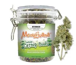 Meowijuana Catnip Bud Jar 1