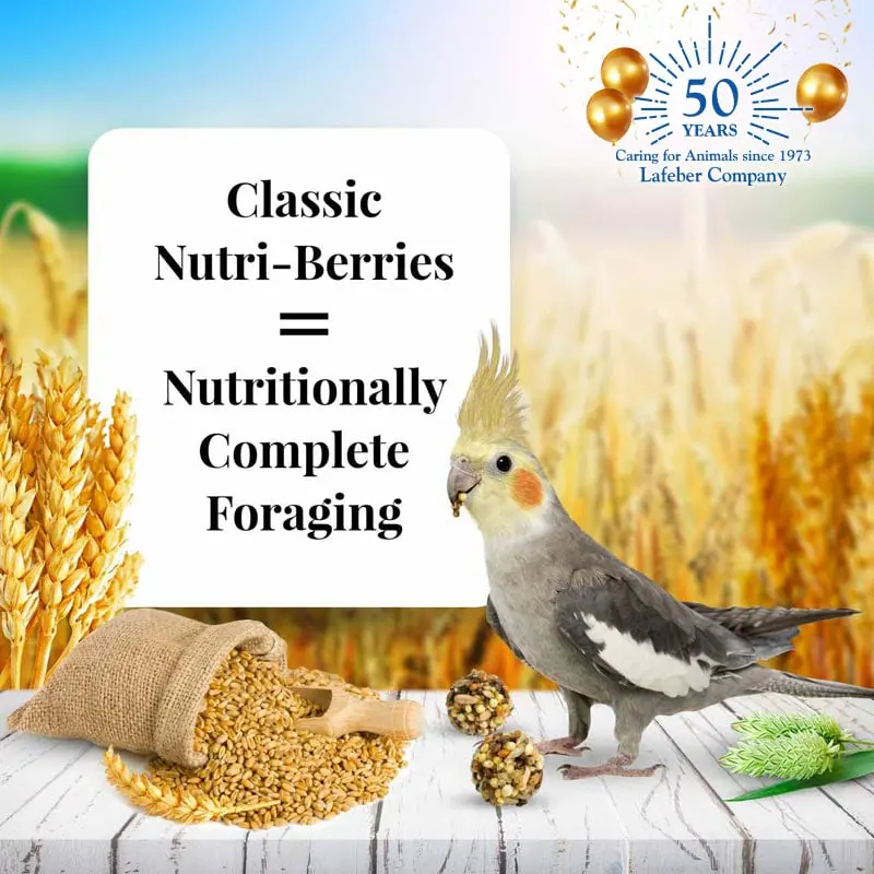 Lafeber Cockatiel Nutri-Berries 2