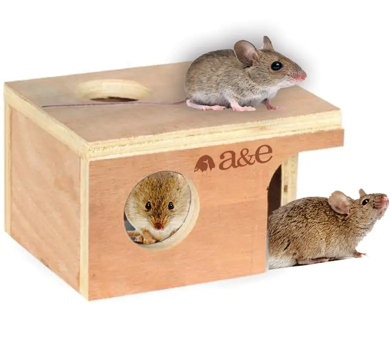 A & E Cage Pet Hut Hideouts Small Mouse Hut 1