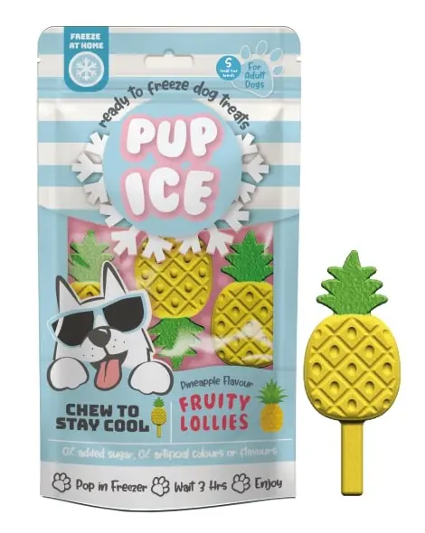 Ethical Pet Fruity Lollies Pineapple Flavor Dog Treats 1