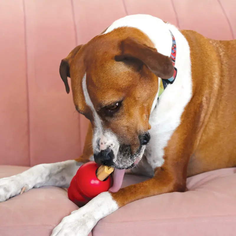 Kong Stufferz Chicken Dog Treats 2