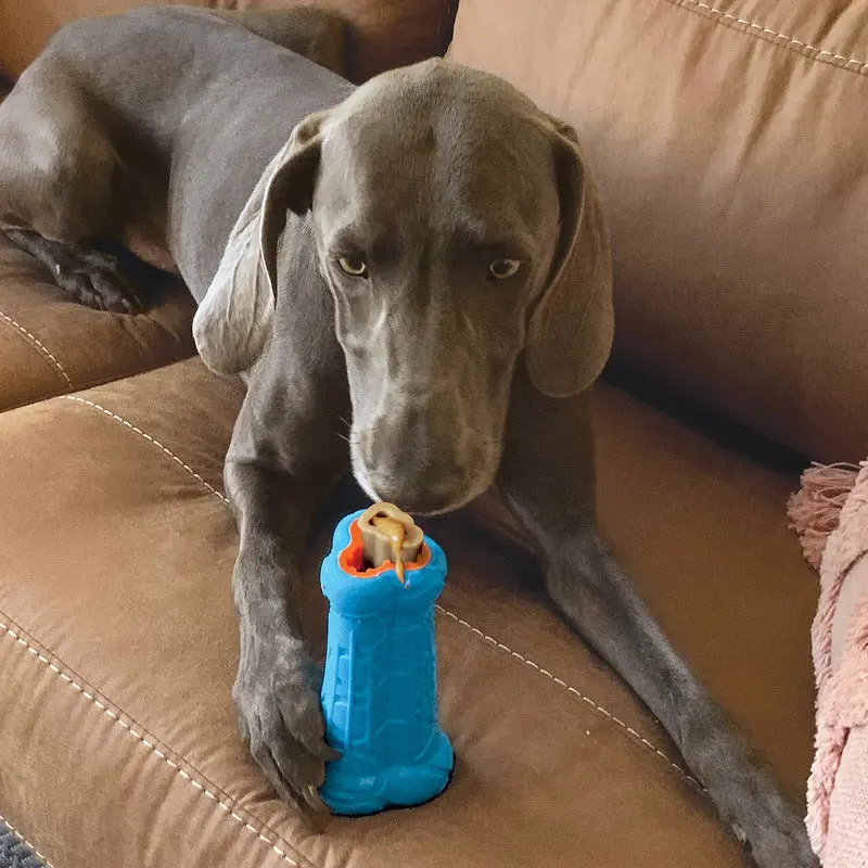 Kong Treatster Dog Toy 2