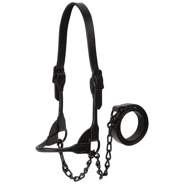 Weaver Leather Black Magic Show Halter 1