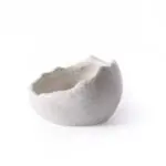 Galápagos Egg Dishes 1
