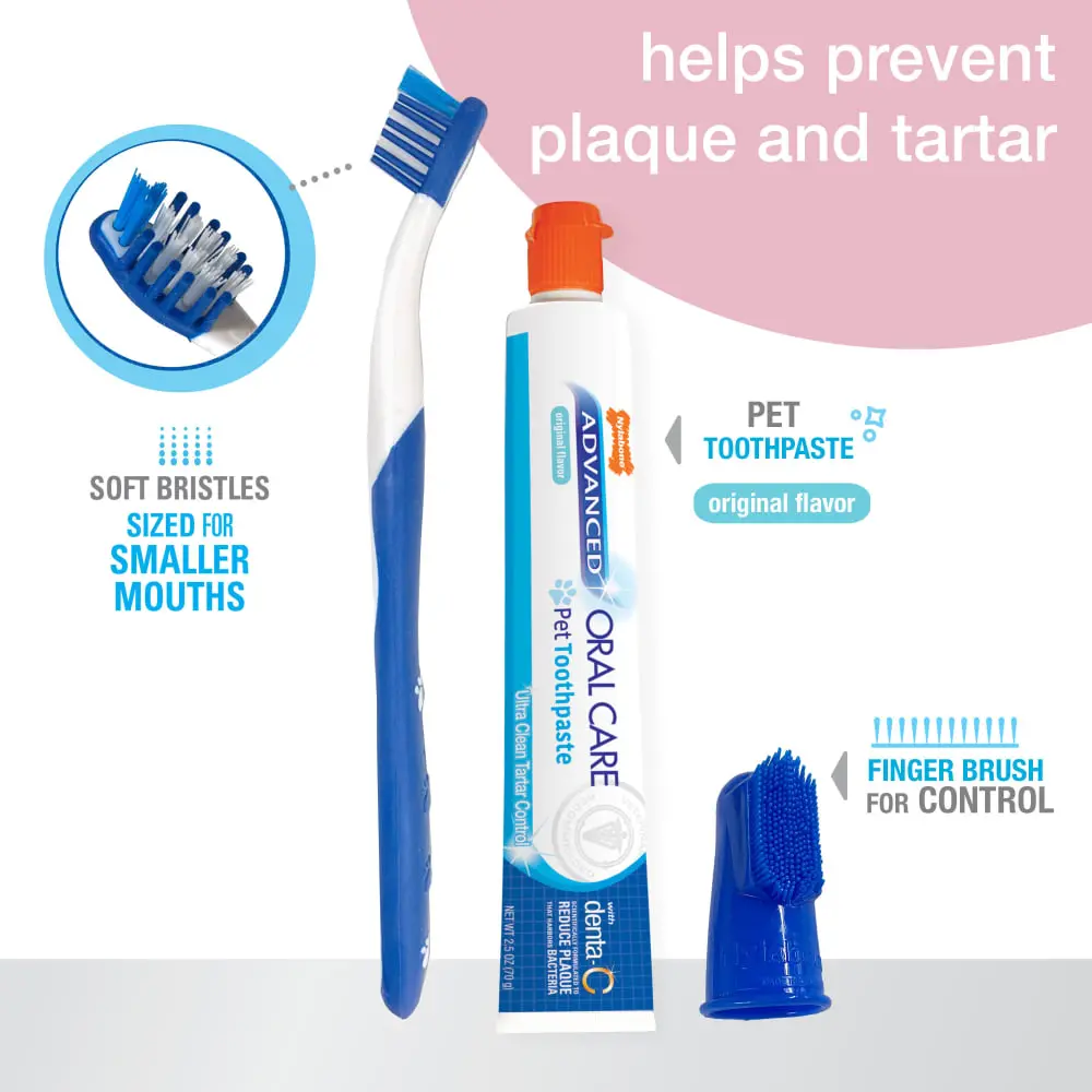 Nylabone Advanced Oral Care Puppy Dental Kit 2