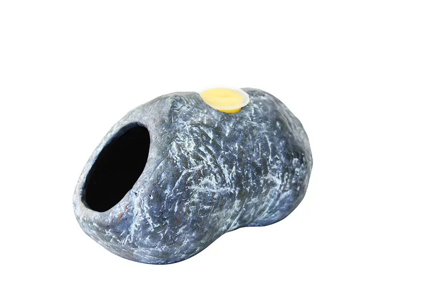Komodo Jelly Pot Rock Den 1