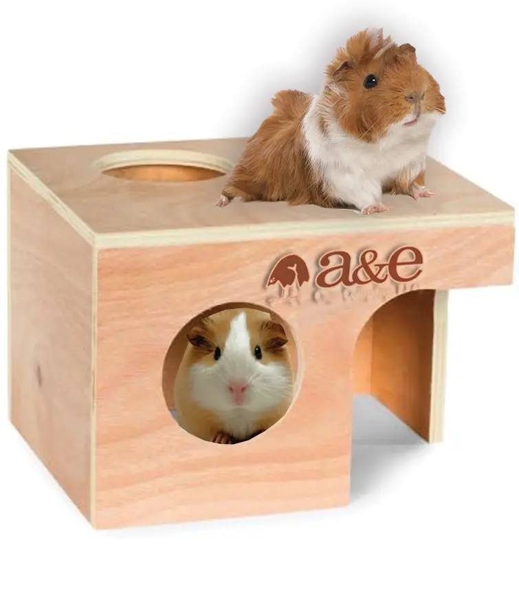 A & E Cage Pet Hut Hideouts Guinea Pig Hut Large 1