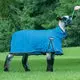 Weaver Livestock Procool™ Sheep Blanket With Reflective Piping, Mesh Butt 1