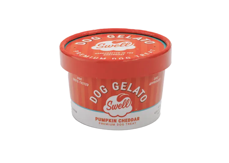 Swell Pumpkin Cheddar Frozen Gelato Dog Treat 1