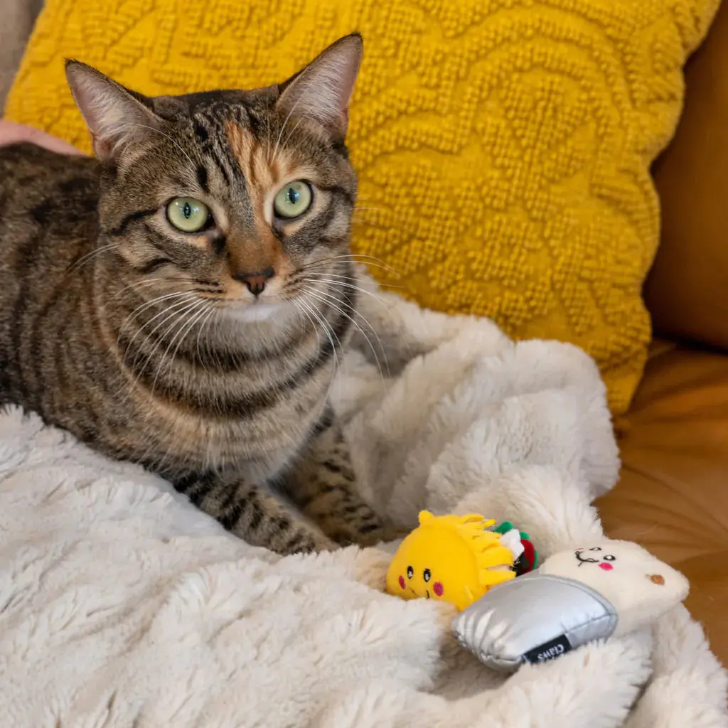 Zippyclaws® Nomnomz® – Taco And Burrito Cat Toy 1
