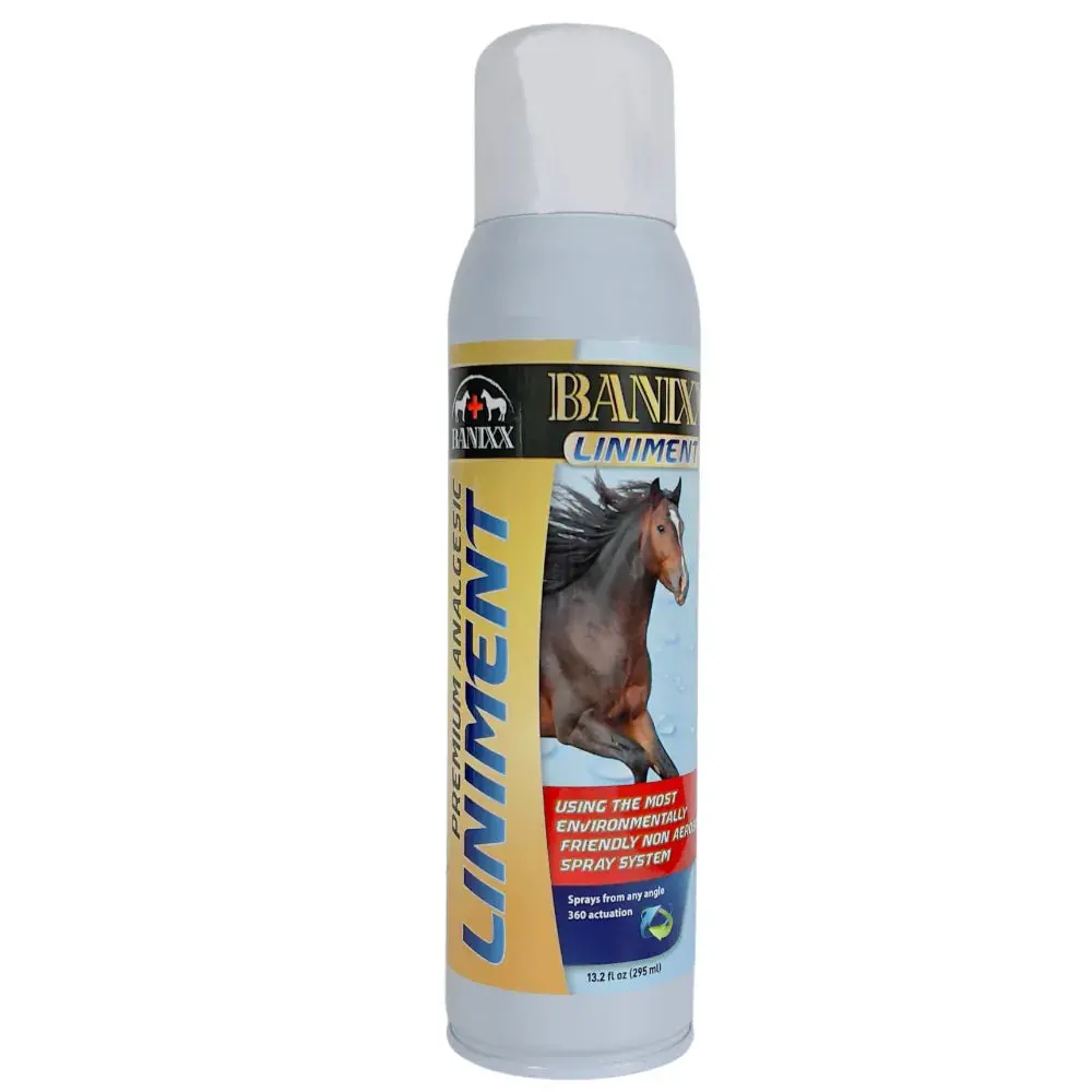 Banixx Premium Analgesic Liniment 1