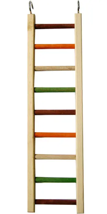 A&E Cage 20" Wooden Hanging Ladder 1