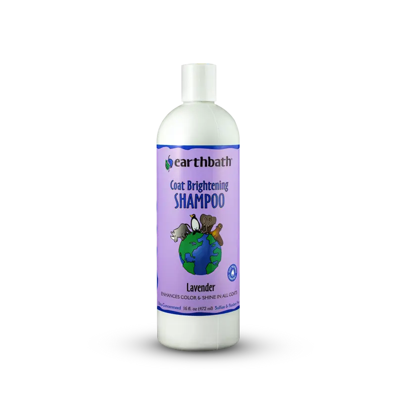 Earthbath Coat Brightening Shampoo 1