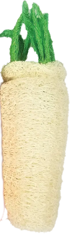A&E Cage Loofah Daikon Small Animal Toy 1
