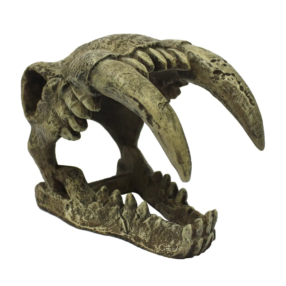 Komodo Saber Tooth Tiger 1