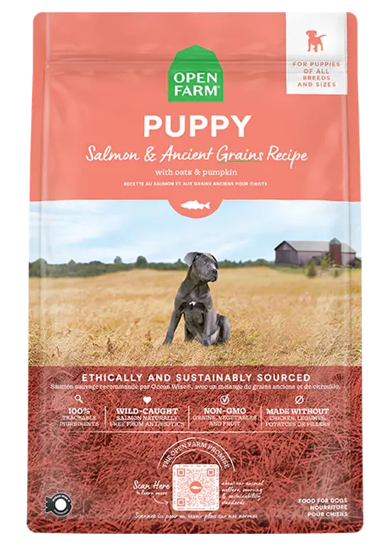 Open Farm Salmon & Ancient Grains Puppy Food 1