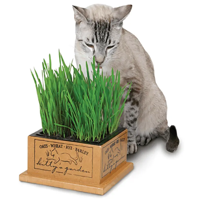 Kitty Garden Wood Planter 1