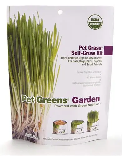Pet Greens Garden Pet Grass Self Grow Kit 1