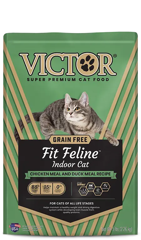 Victor Cat Fit & Free Feline 1